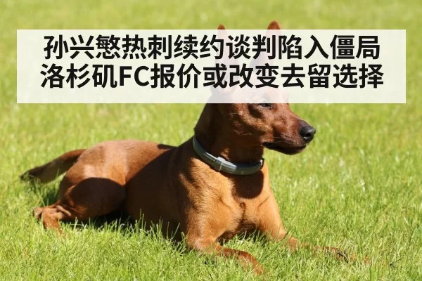 孙兴慜热刺续约谈判陷入僵局 洛杉矶FC报价或改变去留选择
